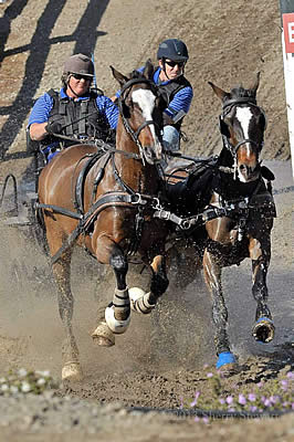 Para-Equestrian Developing Driver Clinic a Roaring Success