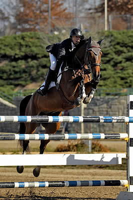 Atlanta Fall Classic Is on Deck | Horses in the South – An Equine News ...