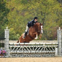 Sutton Place and Katie Robinson. Photo copyright Parker/The Book LLC