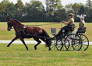 Shields & Weber Lead National Championship Chases after Dressage at the Kentucky Classic CDE