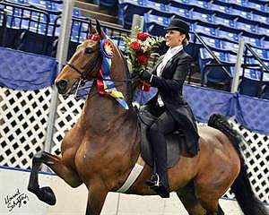 UPHA American Royal National Championship to Host USEF Saddle Seat Medal Final