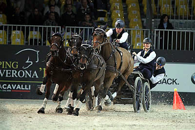 Boyd Exell Wins First Edition of the FEI World Cup Driving in Verona