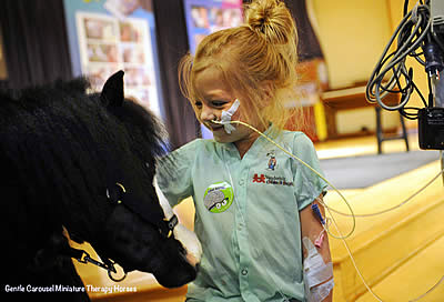 Two Florida Therapy Horses Newest Breyer Model Horses