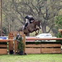 The USHJA International Hunter Derby is scheduled to take place this year during Week 5. Photo by MH Hamm