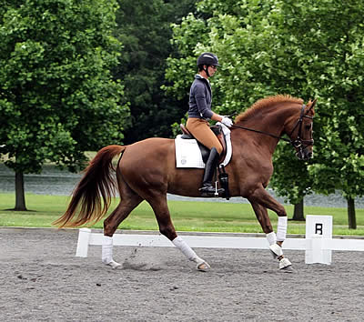 Dressage Rider “JJ” Tate Named Neue Schule Ambassador