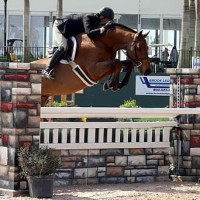 Scott Stewart and Dedication. Photo by Emily Riden.