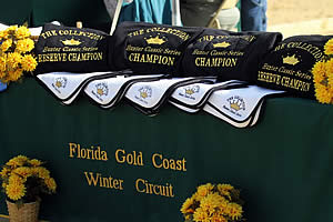 The Collection Hunter Classic Returns under the Lights at Florida Gold Coast Quarter Horse Circuit