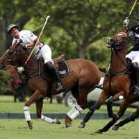 Ten-goaler Facundo Pieres will head the Audi Polo Team during the Dec. 20 tournament.