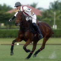 Team USA's Nic Roldan (3) shows his Most Valuable Player winning form