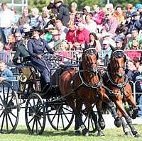 Sam - on the left of the photo, right of the carriage (Marie de Ronde-Oudemans)