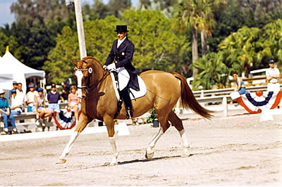 Ride from Half Halt to Half Halt, by Jane Savoie