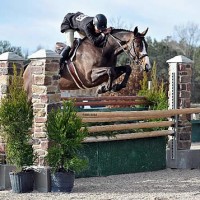 Holly Shepherd and LPF Woodward clear an oxer on their way to the $10,000 USHJA International Hunter Derby win