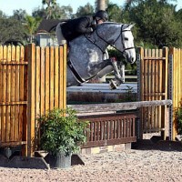 Visse Wedell and Bona Fide