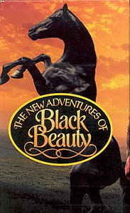 Black Beauty Returns to British Television with Horse & Country TV