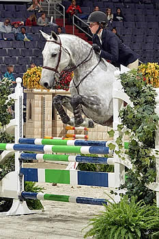 Compete to Qualify for the 2014 Washington International Horse Show!