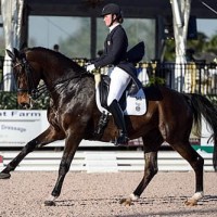Adrienne Lyle and Wizard during the 2014 Stillpoint Farm CDIO3* Nations Cup