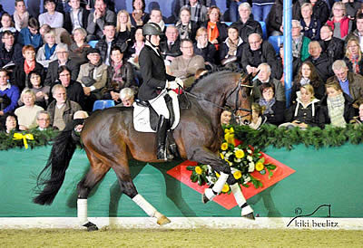 Leatherdale Stallions Presented at Sold Out Show in Germany