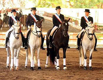 Another Country, Another Nations Cup, Another Interagro Lusitano, This Time for Team Gold