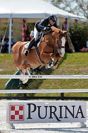 Tracy Fenney Earns Back-to-Back Wins with $50,000 Purina Animal Nutrition Grand Prix