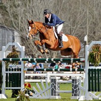 Wilhelm Genn and Happy Z clear an oxer in the $50,000 Budweiser Grand Prix. Flashpoint Photography.