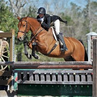 Jordan Gilchrist and Lavasco sail over an oxer in yesterday's $2,500 USHJA National Hunter Derby. Flashpoint Photography