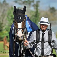 The winning Jumper Groom, Jose Montoya from Kinvara Farm, received $500 and first place honors. Flashpoint Photography.