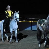 Cherri Reiber performed a tandem driving demonstration with Zerbino Interagro and Vistor Interagro during the Pfizer Fantasia at Equine Affaire. (Photo courtesy of M&A Photography)