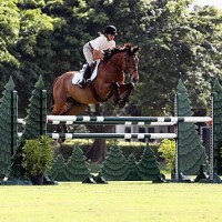 Linda Sheridan and Invitational rode to their second 1.30m-1.35m win at the Wellington Turf Tour