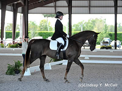 US Para-Dressage Athletes Take Home Multiple Blue Ribbons and WEG Qualifying Scores at AGDF CPEDI3*