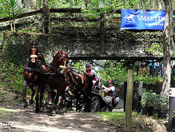 Chester Weber Dominates after Marathon in FEI Four-in-Hand Horse USEF National Championship