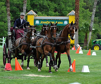 Live Oak International Combined Driving Delivers Star Power across Divisions