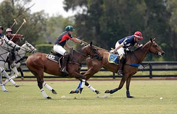 RBC Wealth Management Knocks Off Defending Champion, Plays PMG for Senator Cup in Gay Polo League Tournament