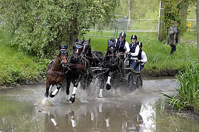 Exceptional Entries for First International Royal Windsor Horse Show