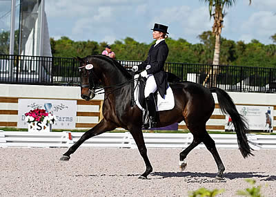 Diamante Farms Presents Exciting Final Week of Competition at 2014 Adequan Global Dressage Festival