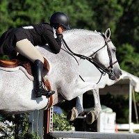 AA rated hunters, plenty of prize money and classics make the Charleston Summer Classic a winner. Flashpoint Photography.