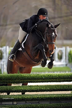 Alfano and Candid Are Picture Perfect for Grand Hunter Championship at Old Salem Farm Spring Horse Shows