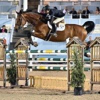Laura Chapot and Zealous
