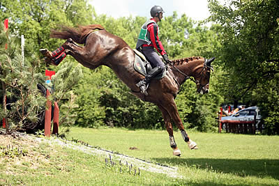 Bulgaria’s Dimitrov Claims Gold at Drama-Filled Balkan Eventing Championship