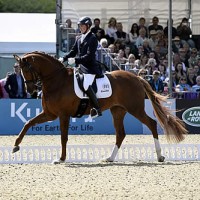 Woodlander Farouche and Michael Eilberg in the Castle Arena