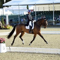 Third place Carl Hester riding Nip Tuck