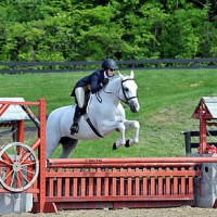 ©ESI Photography. Kimberly Maloomian and Urlala on their way to a win in the $1,500 Platinum Performance Hunter Prix