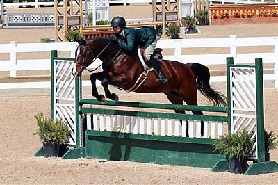 Mickie Sage Pilots Harlu to the Blue in the USHJA National Hunter Derby at Colorado Horse Park