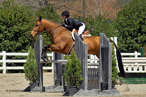 Atlanta Summer Classic Update | Horses in the South – An Equine News ...