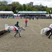 The Shetland Grand National took place in the Castle Arena