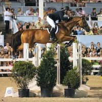 McLain Ward and Rothchild on their way to victory in 2013. Photo © The Book LLC