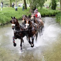 Chester Weber (USA) goes through Obstacle 8