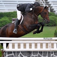 Harold Chopping pilots Caramo to the win in the $25,000 USHJA International Hunter Derby Friday night. Flashpoint Photography.