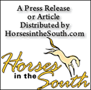 HorsesintheSouth.com Receives 2014 Best of Keystone Heights Award