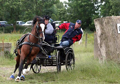 US Para-Driving Team Prepares for the 2014 FEI World Para-Equestrian Driving Championships Only Days Away