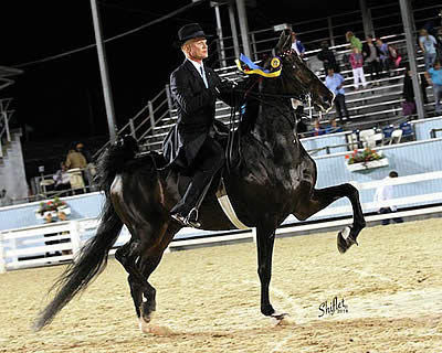 Smith Lilly and Central Perk Win Five-Gaited Saddle Horse Stake at Devon Horse Show